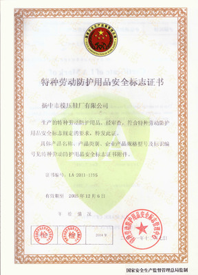 洪野牌安全防护鞋 模压工艺打造坚固防线，网络技术服务赋能高效安全